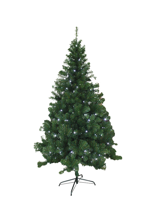 Weihnachtsbaum-PV18150