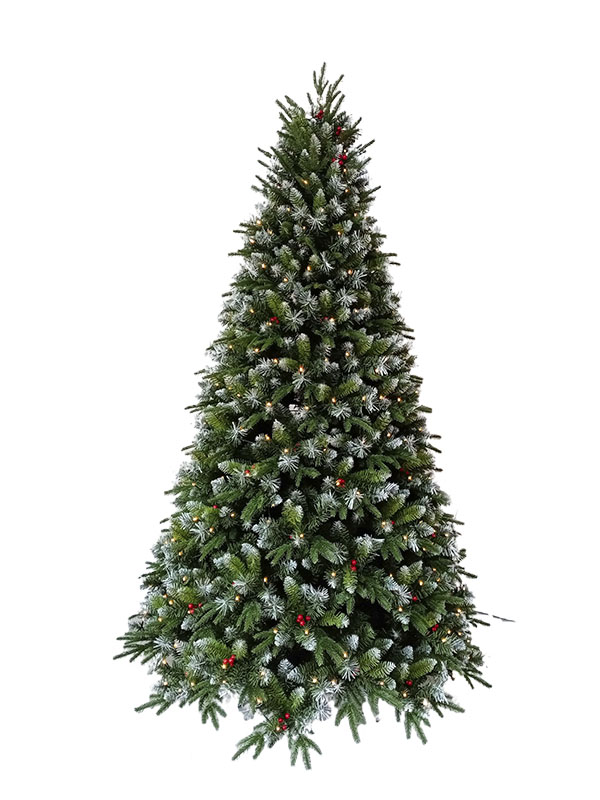 Weihnachtsbaum-PESW210002