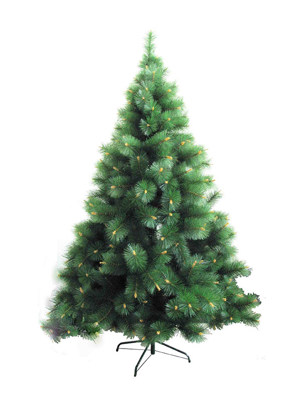 Weihnachtsbaum-2015 BAUM