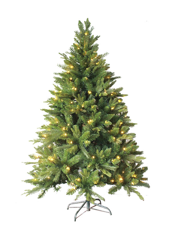 Weihnachtsbaum-PE180085