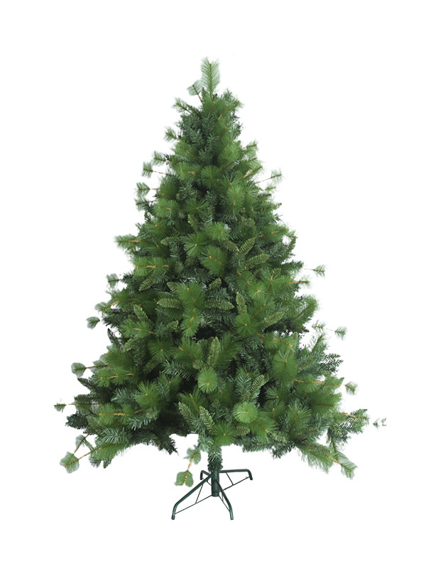 Weihnachtsbaum-MP120058