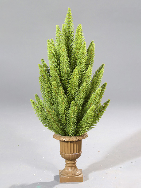 Weihnachtsbaum im Topf 9A3A8791